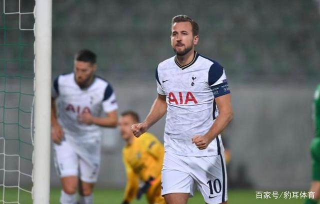 完善马匹动 完善马匹动